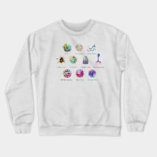 Diagram showing different kinds of viruses Crewneck Sweatshirt